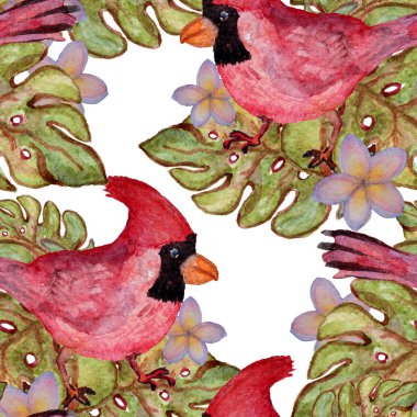 Suluboya tropikal desensiz