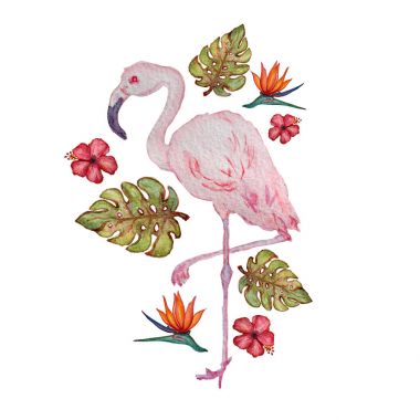 suluboya tropikal clipart