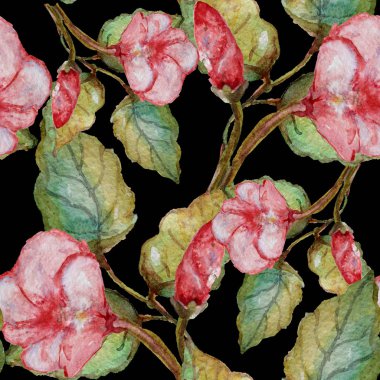 Suluboya tropikal desensiz