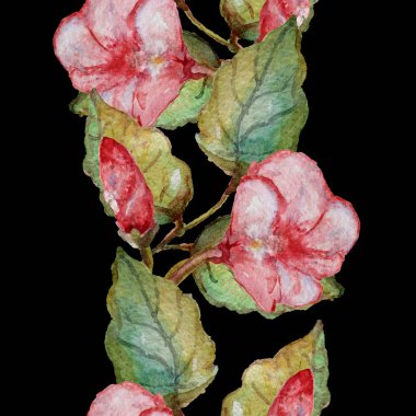 Suluboya tropikal desensiz