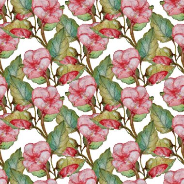 Suluboya tropikal desensiz