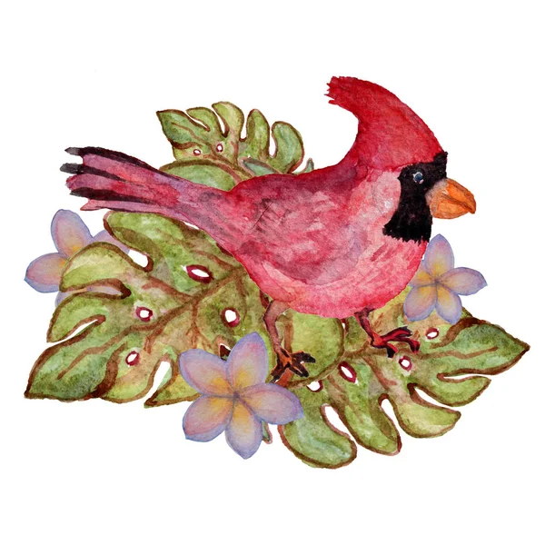 Akvarell trópusi clipart — Stock Fotó