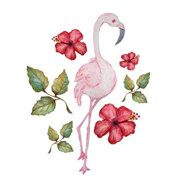 suluboya tropikal clipart