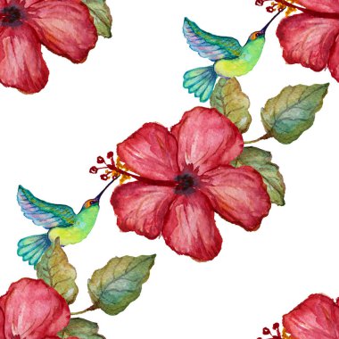 Suluboya tropikal desensiz