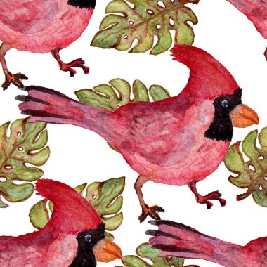 Suluboya tropikal desensiz