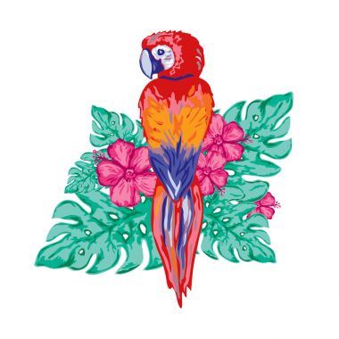 Dekoratif tropikal kompozisyon