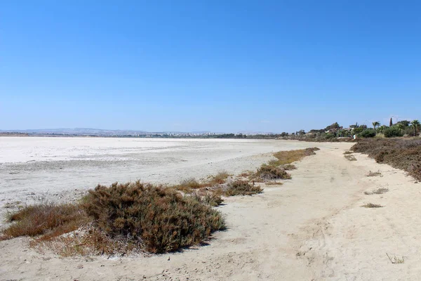 Lago salato a Larnaca, Cipro — Foto Stock