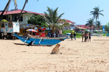 sri Lanka hikkaduwa beach