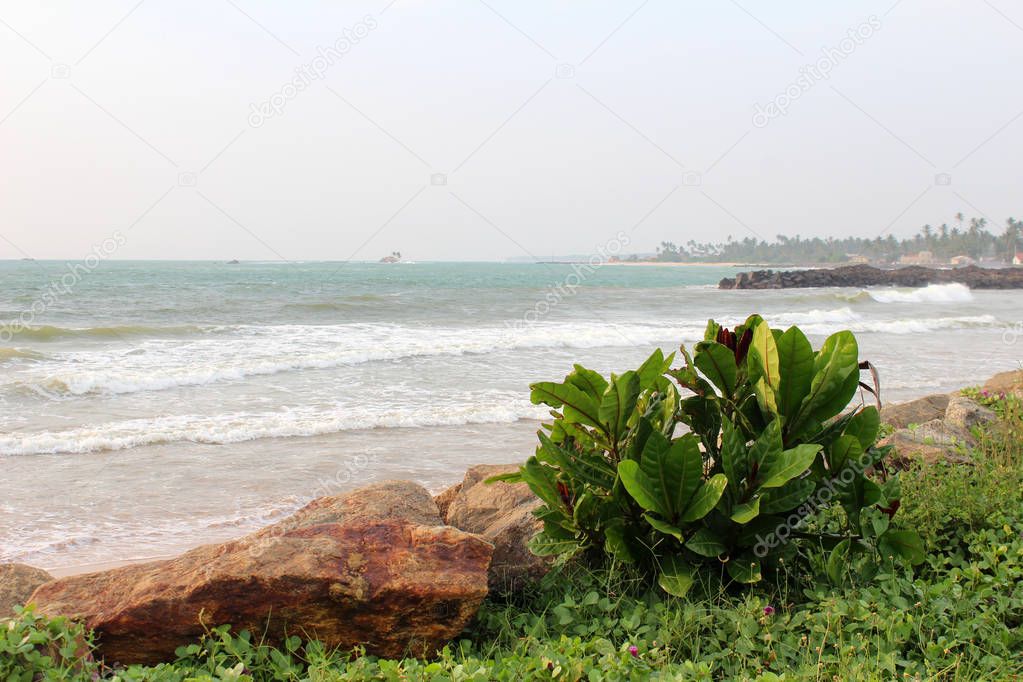 View of Indian Ocean from Sri Lanka
