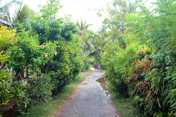 Şehir Manzaralı Hikkaduwa, Sri Lanka — Stok fotoğraf