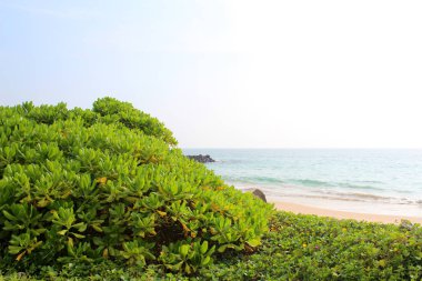 Hint Okyanusu Sri Lanka görünümünü