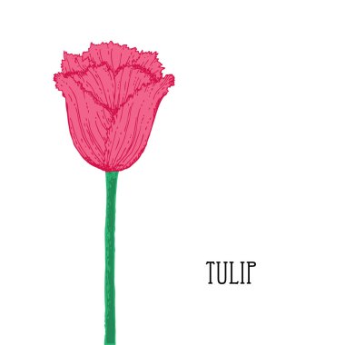 Elle çizilmiş çiçek dekorasyon