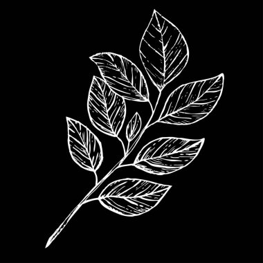 Elle çizilmiş çiçek dekorasyon