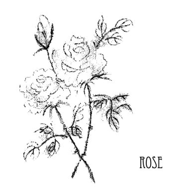 Elle çizilmiş çiçek dekorasyon