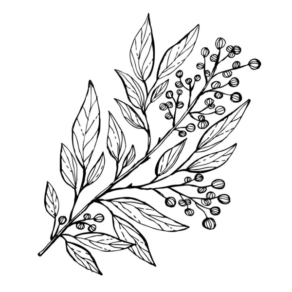 Hand getrokken florale decoratie — Stockvector