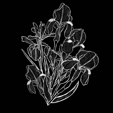 Elle çizilmiş çiçek dekorasyon