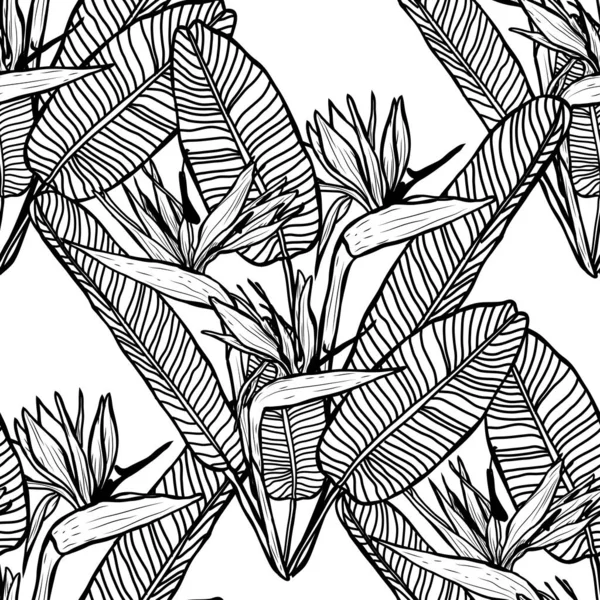 Motif floral sans couture — Image vectorielle