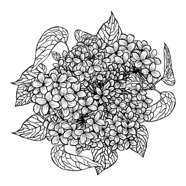 手描きの花飾り — ストックベクタ