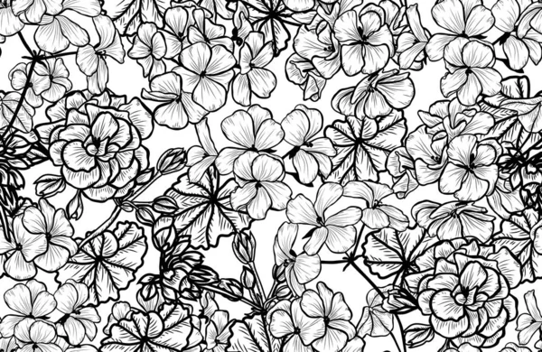 Motif floral sans couture — Image vectorielle