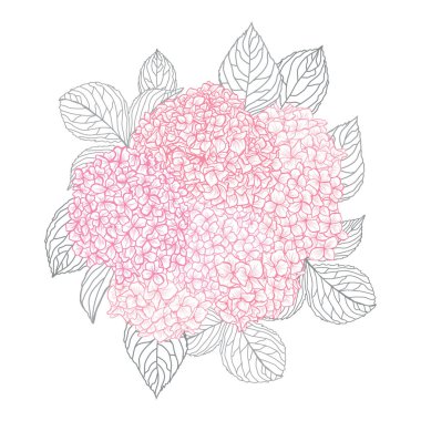 Elle çizilmiş çiçek dekorasyon