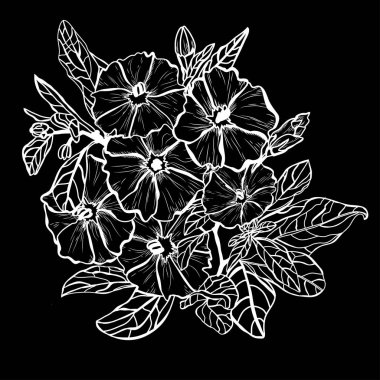 Elle çizilmiş çiçek dekorasyon