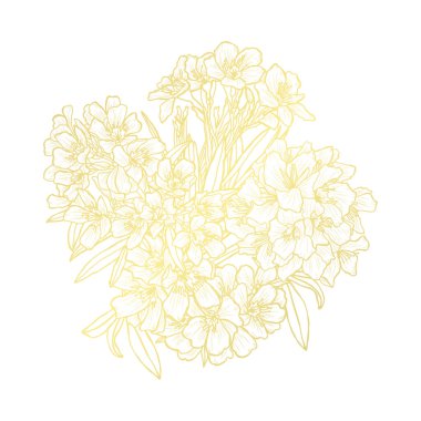 Download Golden Oleander Free Vector Eps Cdr Ai Svg Vector Illustration Graphic Art
