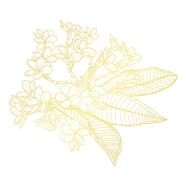 Decoración floral dorada — Vector de stock