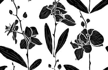 Orkide çiçekleri ve tasarım elementleriyle zarif, pürüzsüz bir desen. Davetiyeler, kartlar, baskı, hediye paketi, imalat, tekstil, kumaş, duvar kağıtları için çiçek deseni