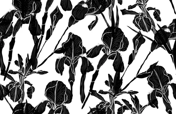 Motif floral sans couture — Image vectorielle