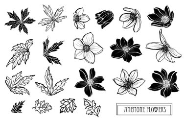 Elle çizilmiş çiçek dekorasyon