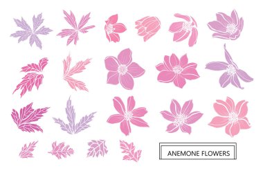 Elle çizilmiş çiçek dekorasyon