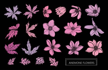 Elle çizilmiş çiçek dekorasyon