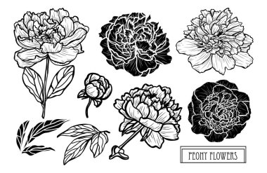 Elle çizilmiş çiçek dekorasyon