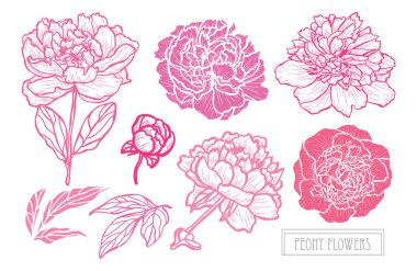 Elle çizilmiş çiçek dekorasyon