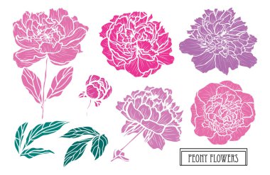 Elle çizilmiş çiçek dekorasyon