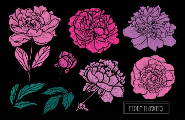 Elle çizilmiş çiçek dekorasyon