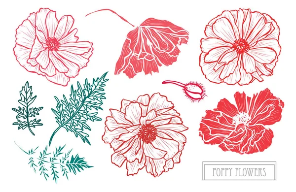 Elle çizilmiş çiçek dekorasyon — Stok Vektör