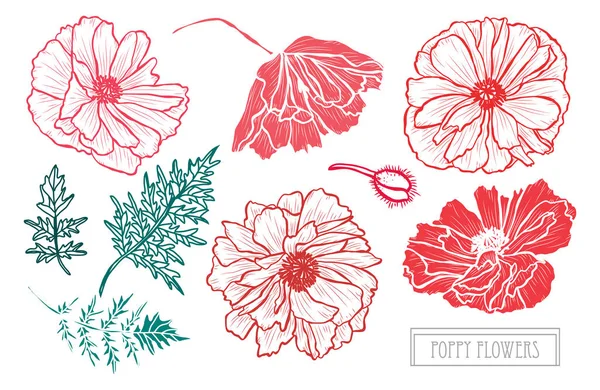 Décoration florale dessinée à la main — Image vectorielle