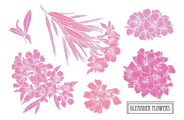 Decoración floral dibujada a mano — Vector de stock