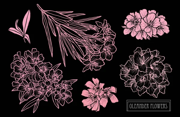 Hand getrokken florale decoratie — Stockvector