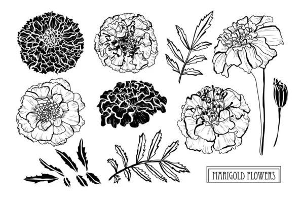 Elle çizilmiş çiçek dekorasyon