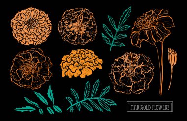 Elle çizilmiş çiçek dekorasyon