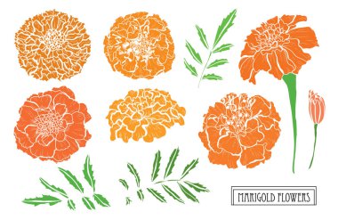 Elle çizilmiş çiçek dekorasyon