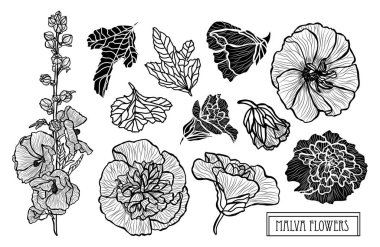 Elle çizilmiş çiçek dekorasyon