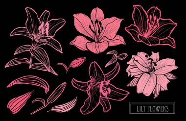 Elle çizilmiş çiçek dekorasyon