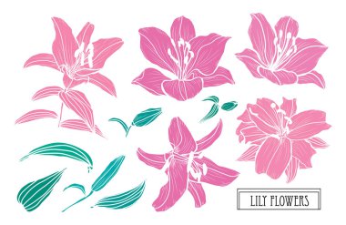 Elle çizilmiş çiçek dekorasyon