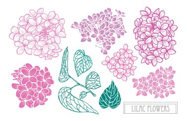 Elle çizilmiş çiçek dekorasyon