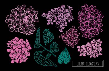 Elle çizilmiş çiçek dekorasyon