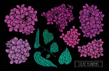 Elle çizilmiş çiçek dekorasyon