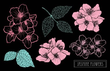 Elle çizilmiş çiçek dekorasyon